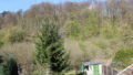 angrenzender Wald