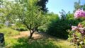 Garten II