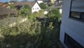 Blick