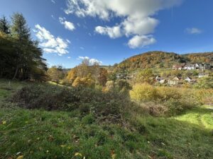 Seltene Gelegenheit: Großes Baugrundstück am Naturschutzgebiet in Heimbuchenthal