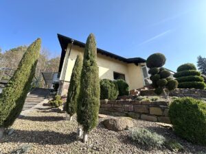 Wohnen inmitten der Natur–Hochwertiges Einfamilienhaus mit großem Grundstück in ruhiger Waldrandlage