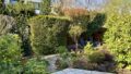 Blick in den Garten