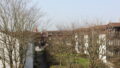 Fernblick Dachloggia
