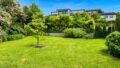 Garten hinter dem Haus