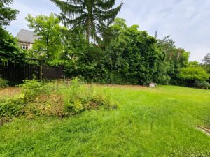 Attraktive EG Wohnung mit 2 Balkonen, TG-Stellplatz in Sachsenhausen Frankfurt