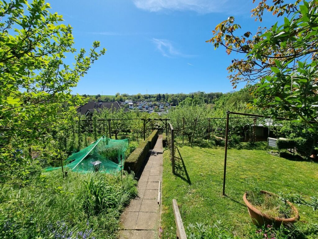 Der Blick aus dem Garten