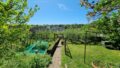Der Blick aus dem Garten