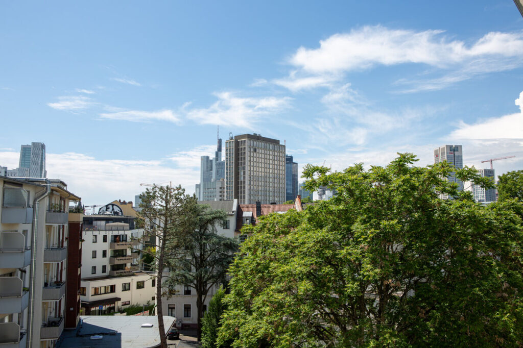 Ausblick